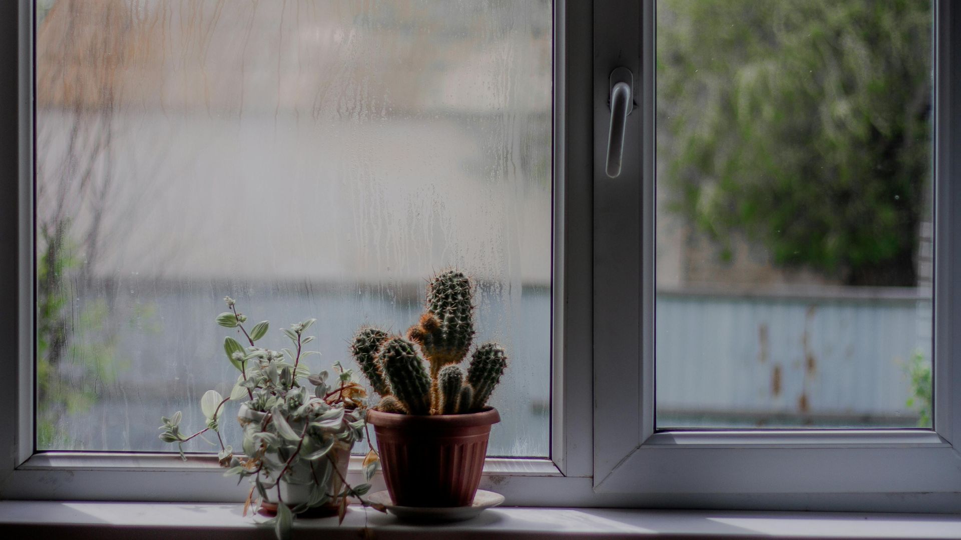 Como cuidar da casa em períodos de chuvas intensas: dicas práticas contra mofo, umidade e sujeira